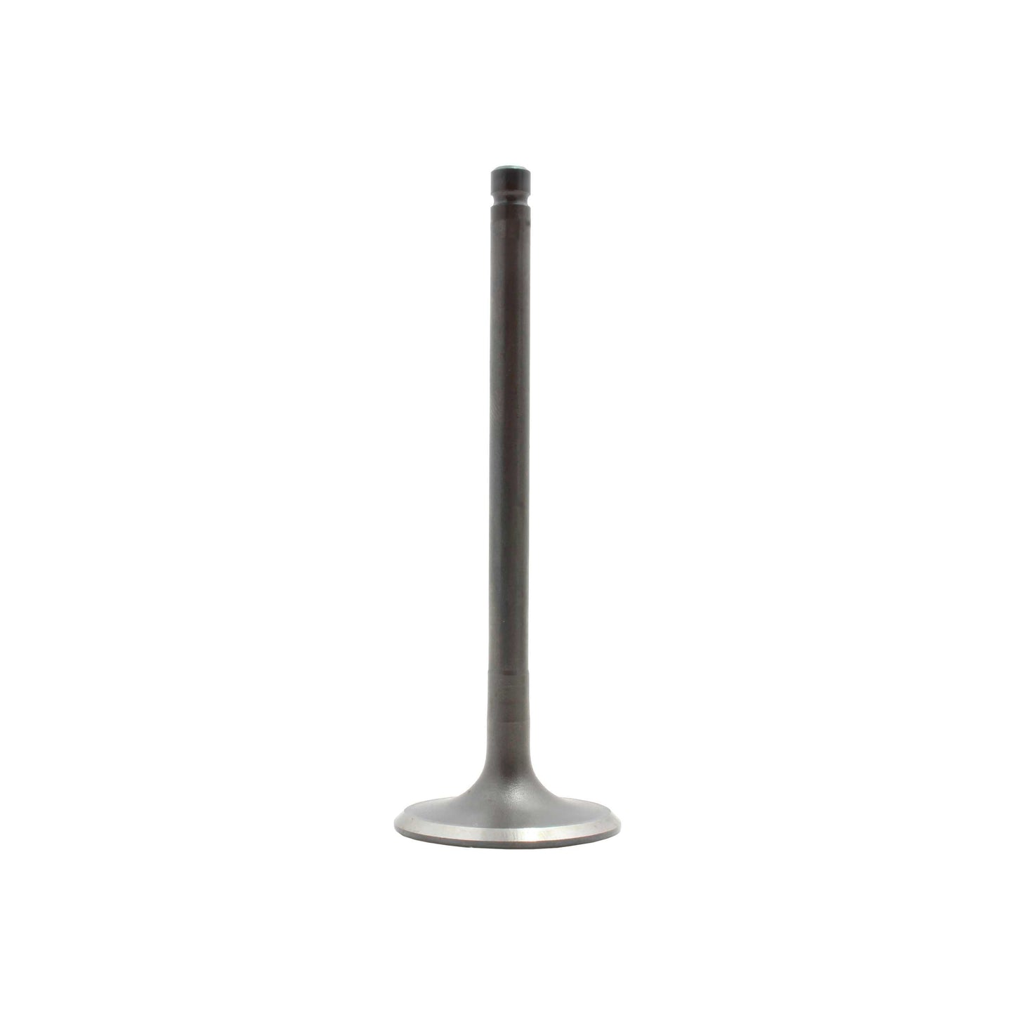 Intake Valve 1988-1991 Lexus 2.5L