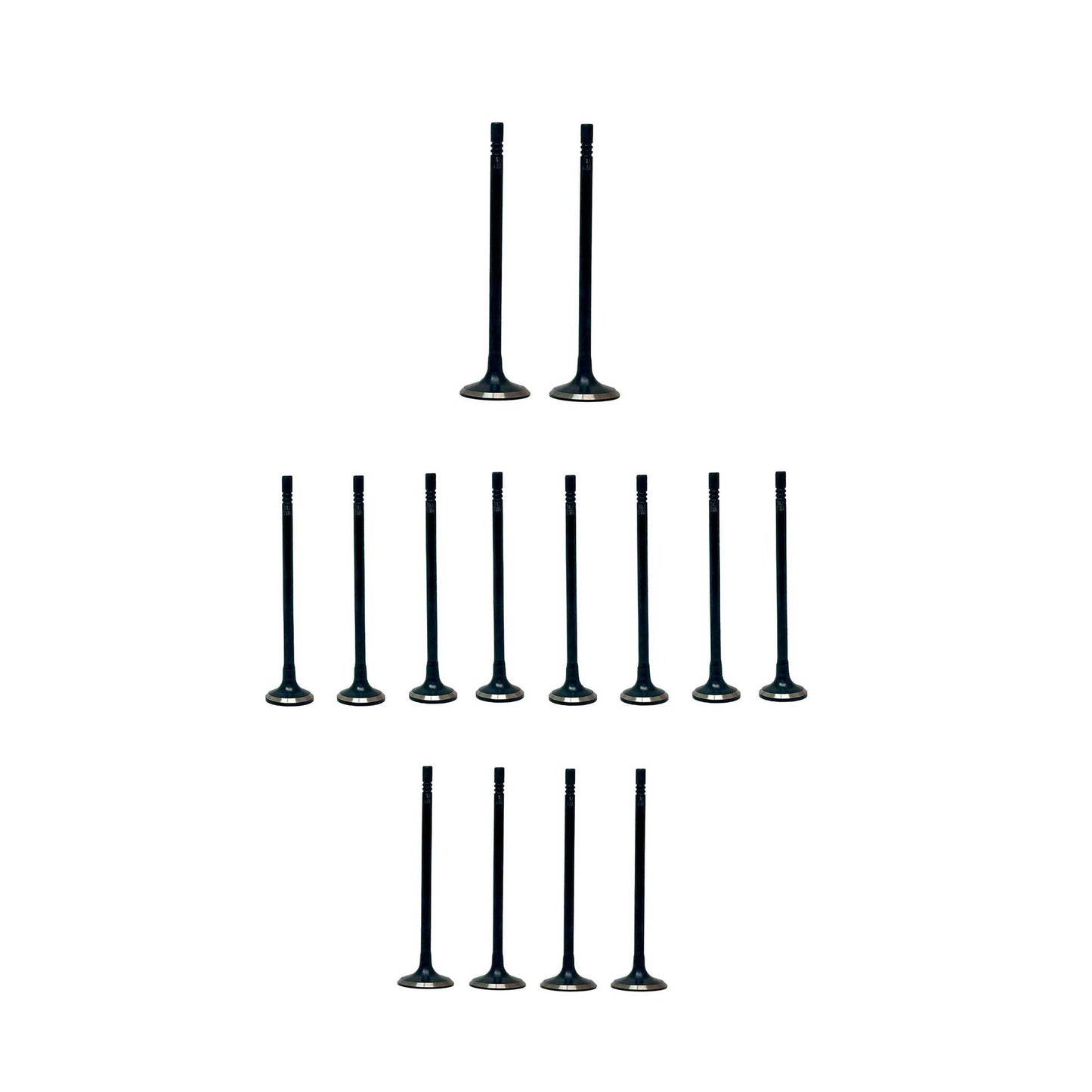Exhaust Intake Valve Kit 2016-2019 Chevrolet 1.5L