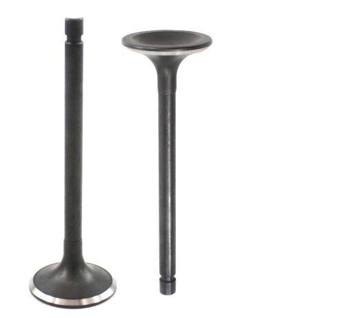 1988 Nissan Stanza 2.0L Exhaust Valve