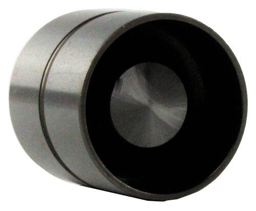 2002 Audi A4 Quattro 3.0L Valve Lifter