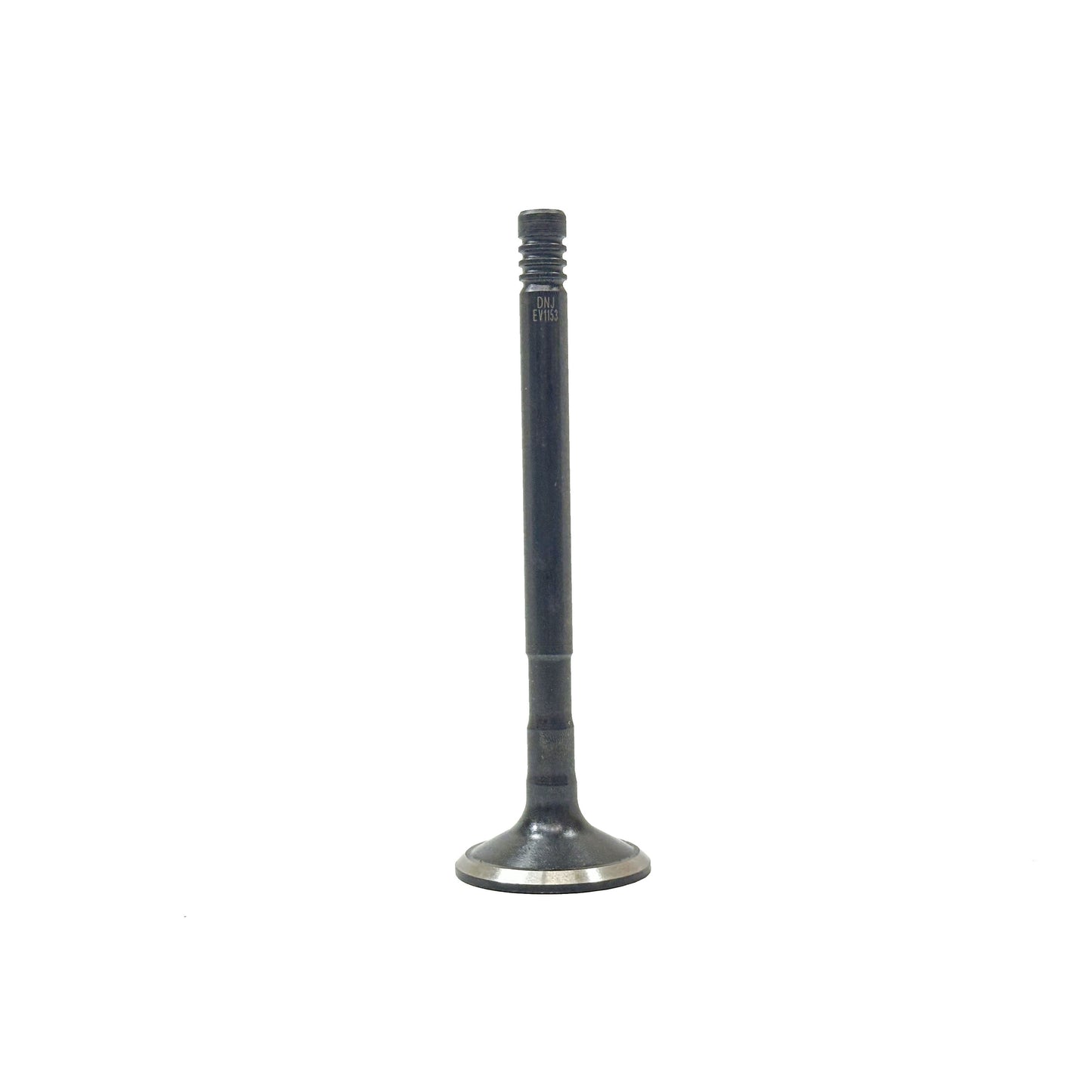 1981 Dodge B250 5.2L Exhaust Valve