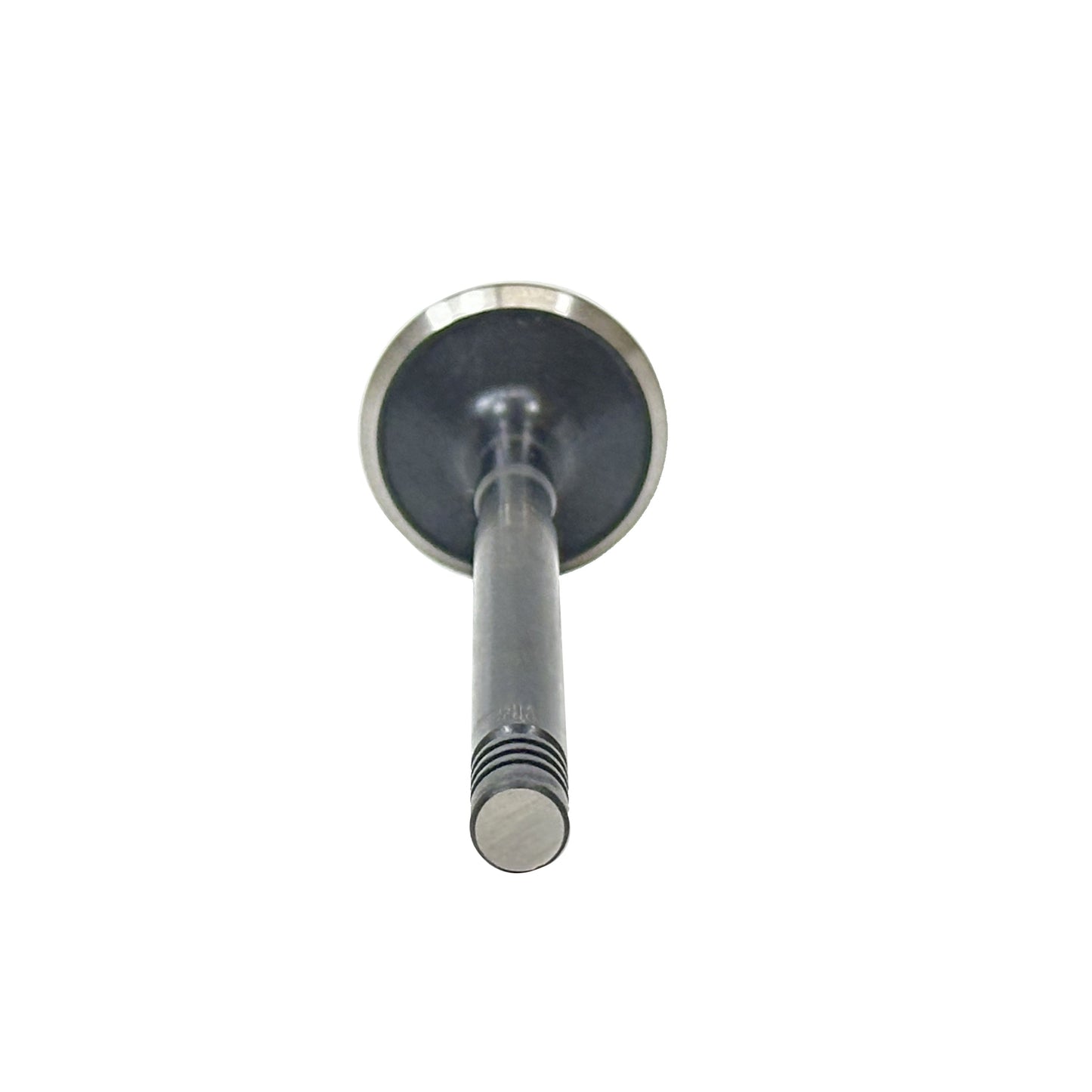 1981 Dodge B250 5.2L Exhaust Valve