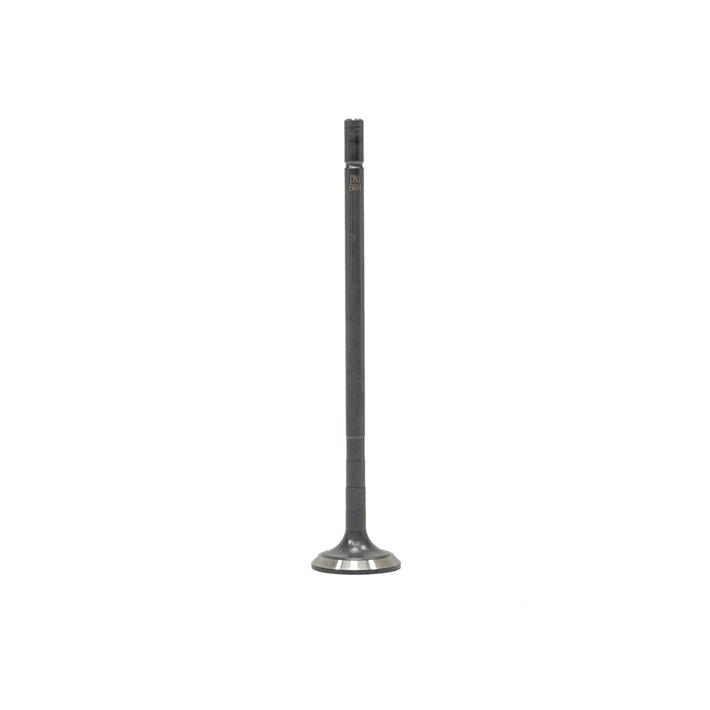 Exhaust Valve 2021-2022 Hyundai 1.6L