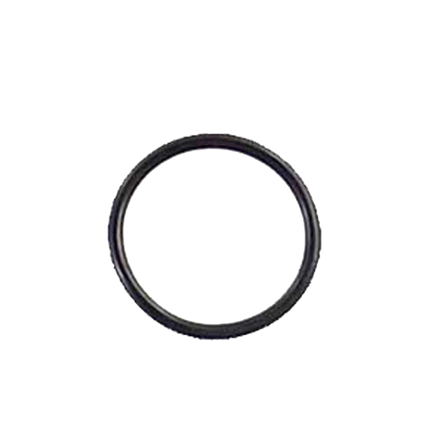 1997 Oldsmobile Silhouette 3.4L Intake Manifold Gasket