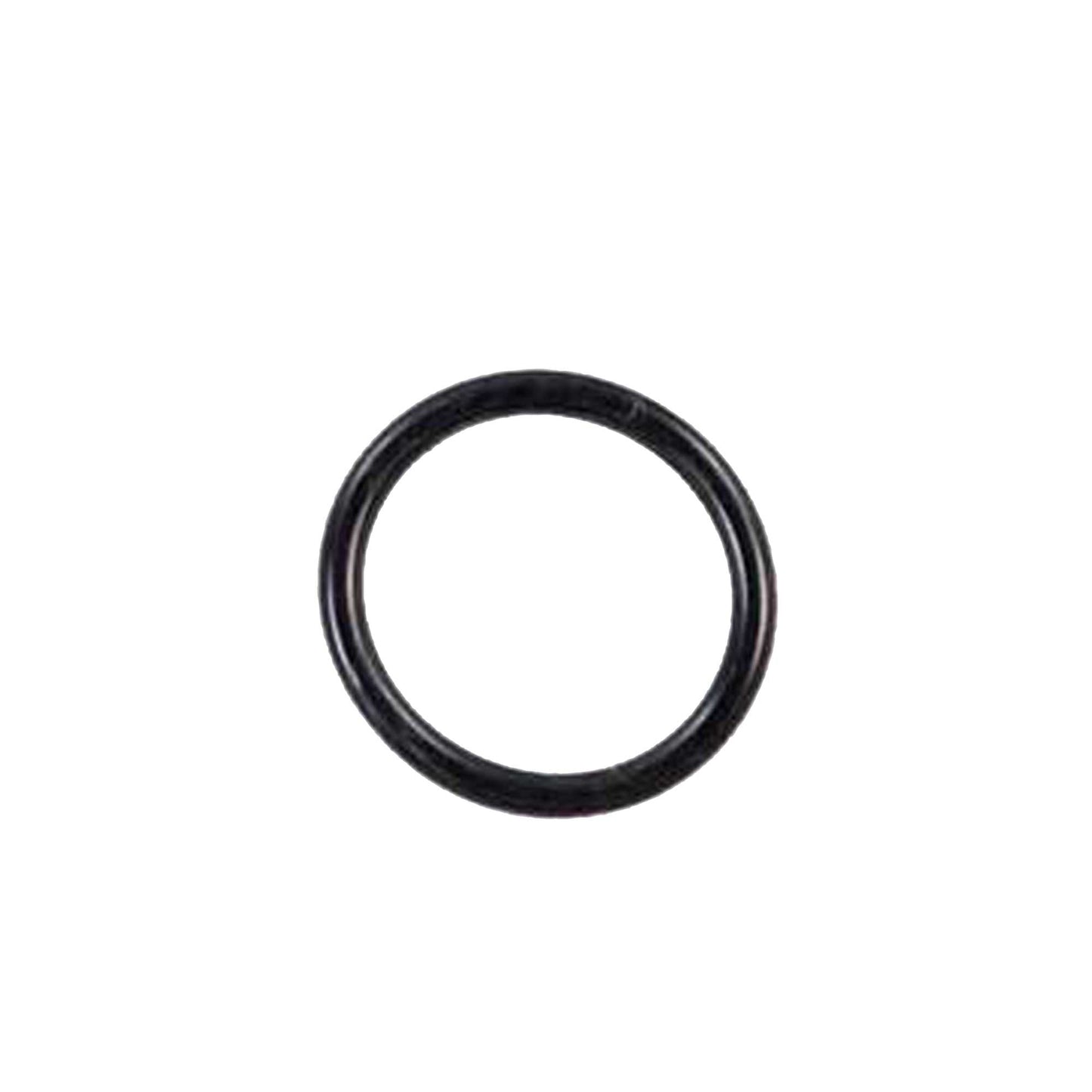 1999 Oldsmobile Intrigue 3.5L Intake Manifold Gasket