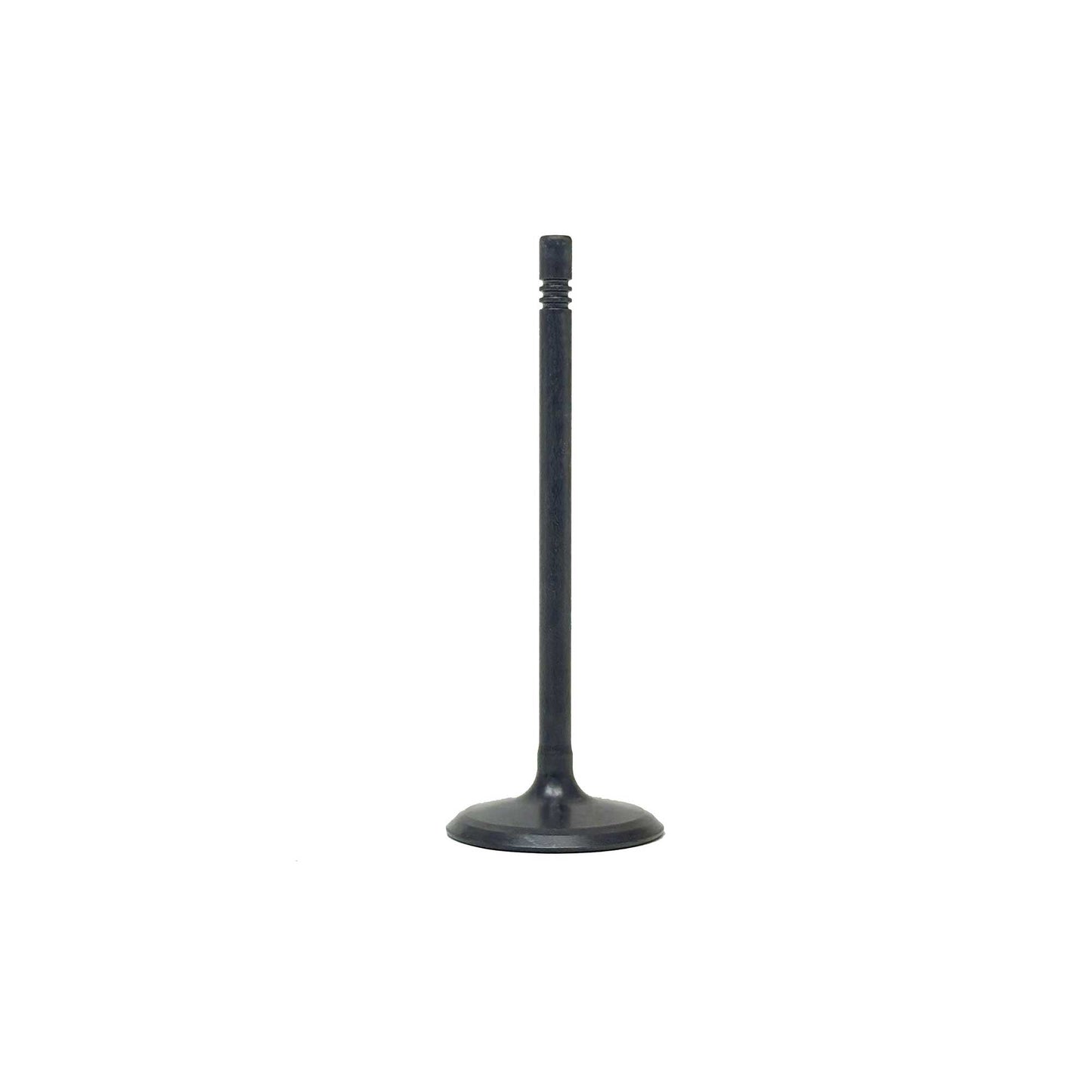 Intake Valve 2016-2022 Buick 3.6L