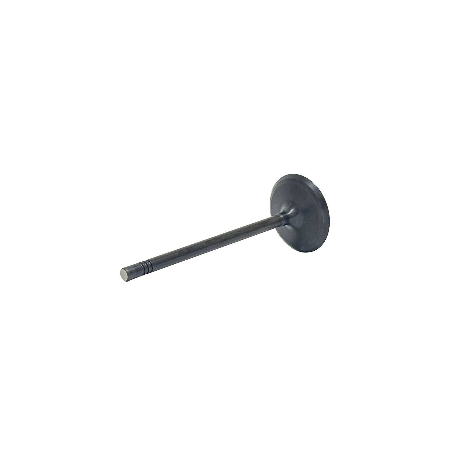 Intake Valve 2016-2022 Buick 3.6L