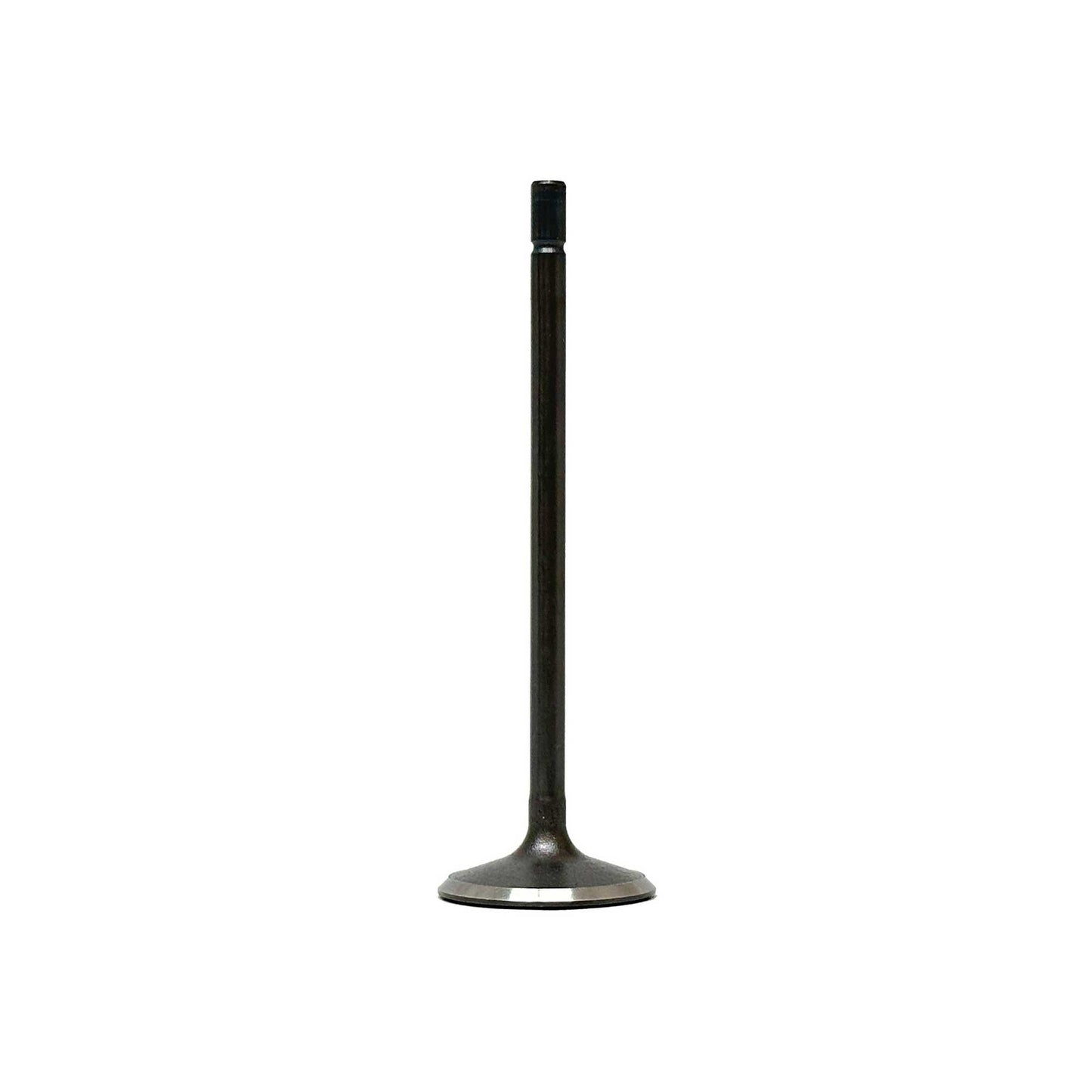 Intake Valve 2019-2021 Mazda 2.0L