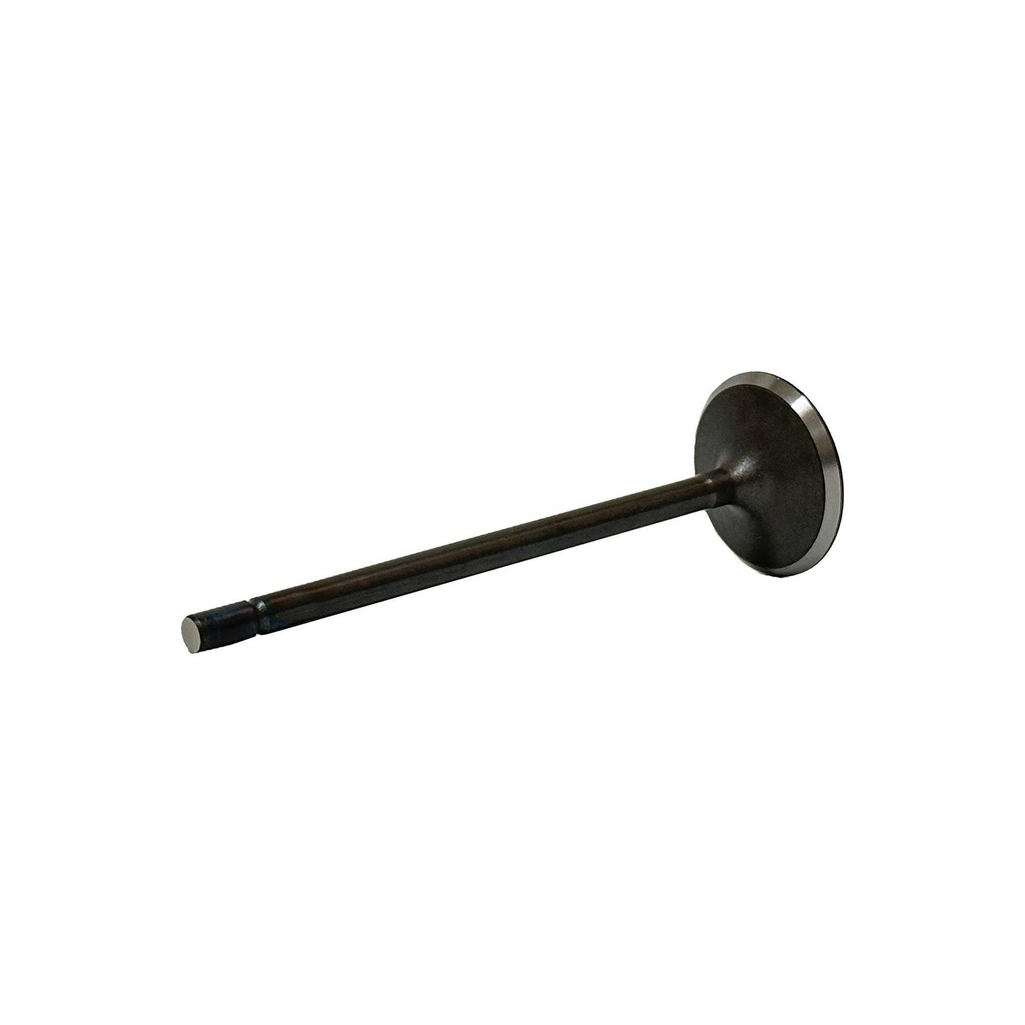 Intake Valve 2019-2021 Mazda 2.0L