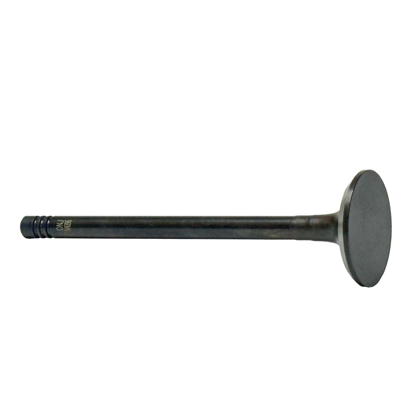 Intake Valve 2018-2021 F150 Ford 3.0L