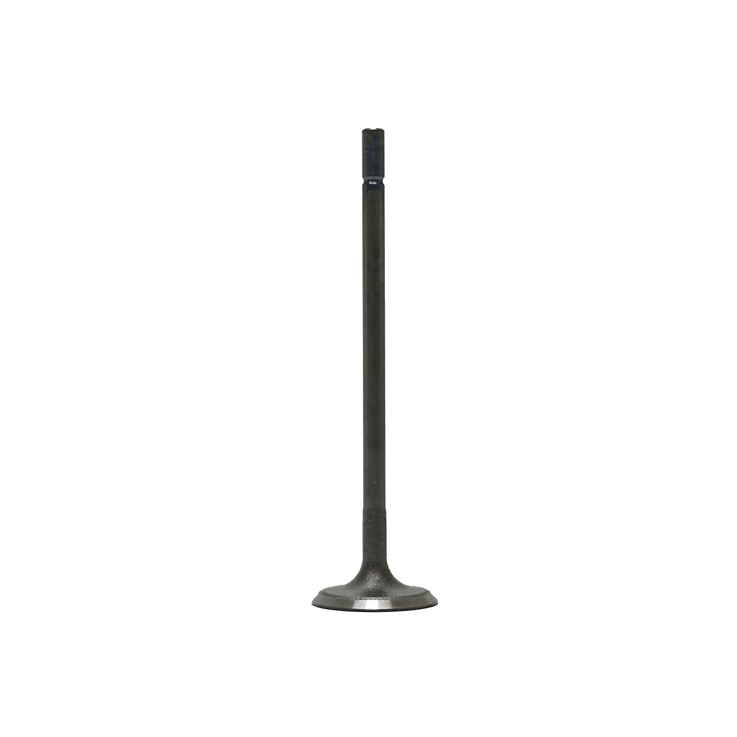 Intake Valve 2020-2022 Hyundai 1.6L