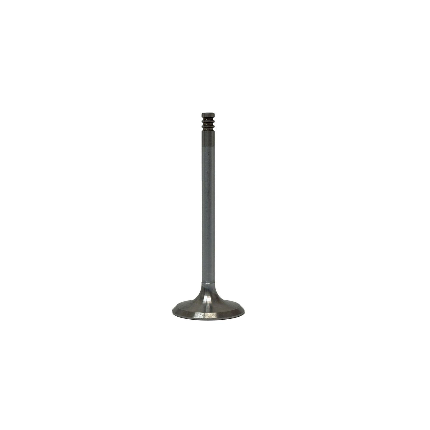 2006 Volkswagen Phaeton 6.0L Intake Valve