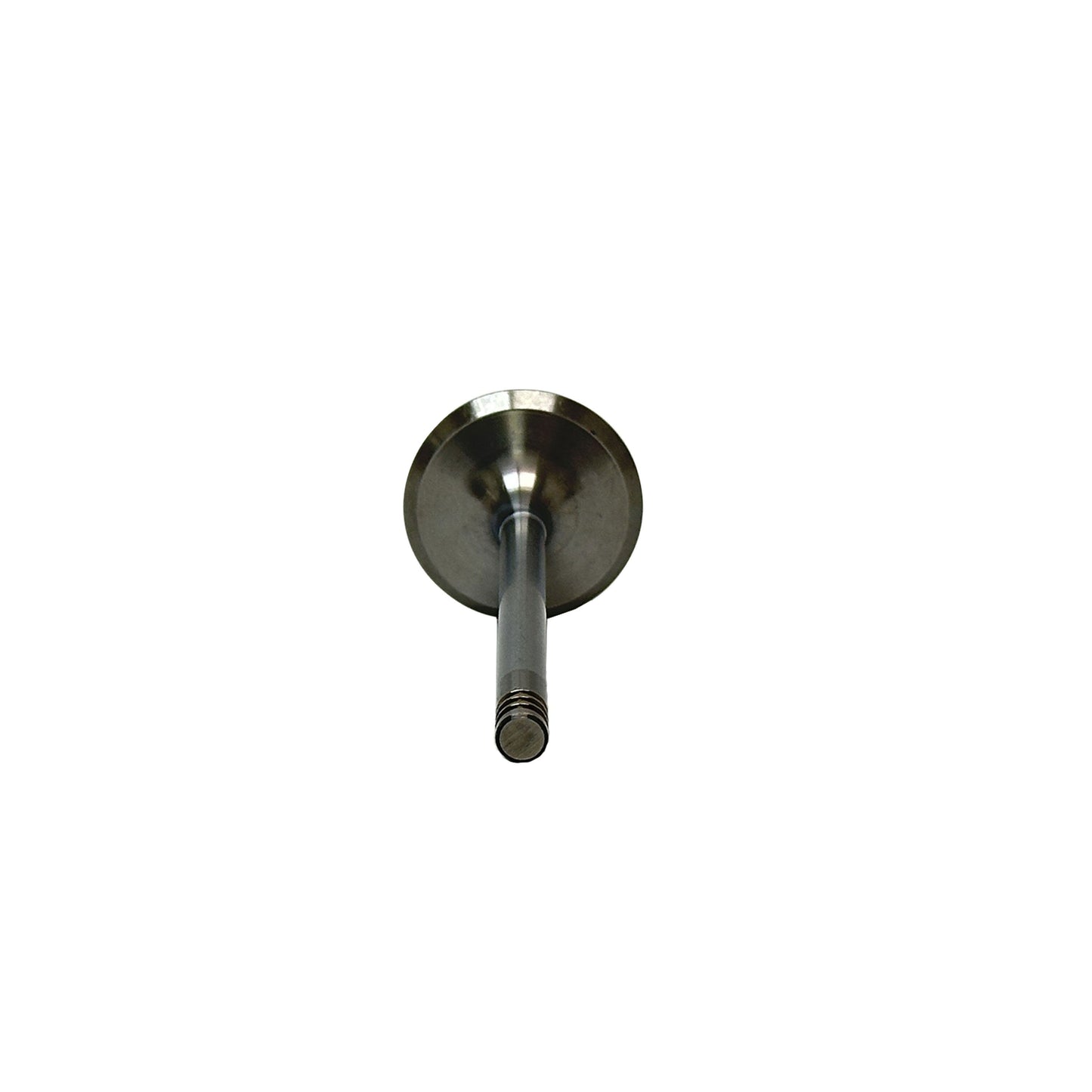 2002 Volkswagen EuroVan 2.8L Intake Valve