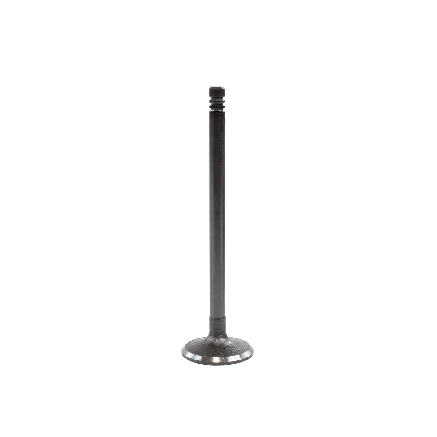 2010 BMW X5 3.0L Intake Valve
