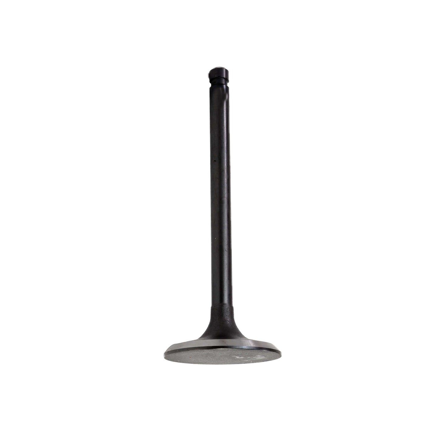 2012 Lexus IS F 5.0L Intake Valve
