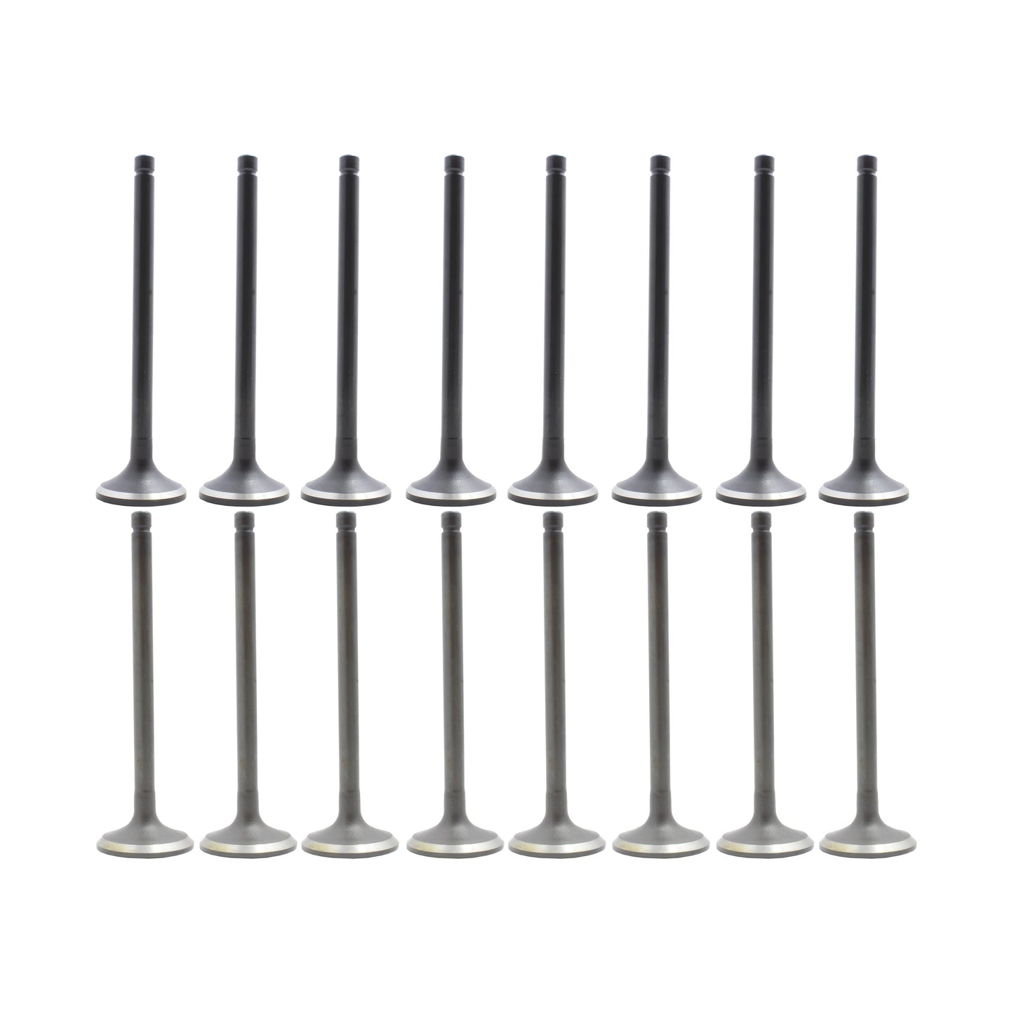 Exhaust Intake Valve Kit 1990-1995 Acura 1.8L