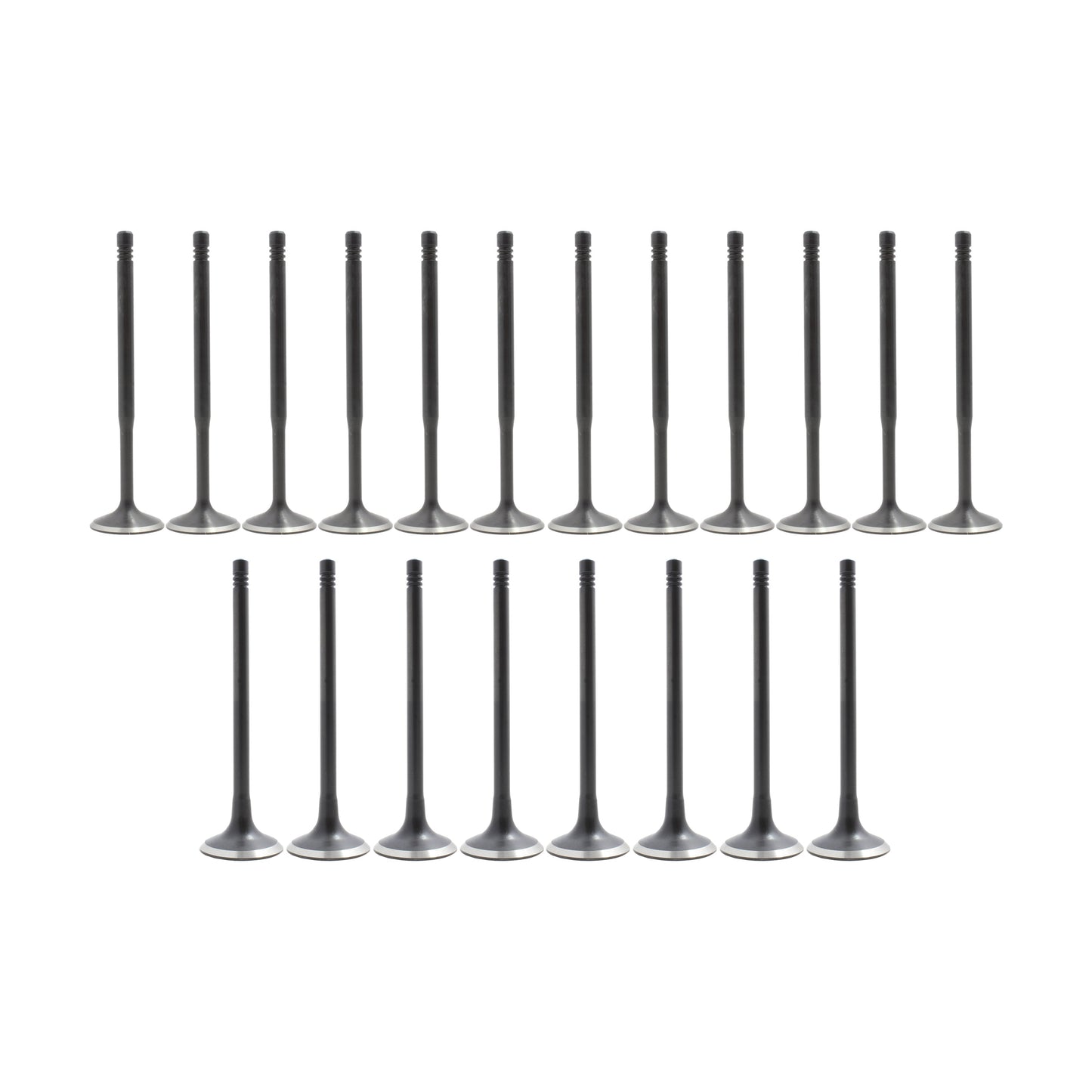Exhaust Intake Valve Kit 1997-2006 Audi 1.8L