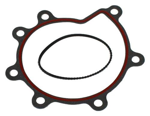 2001 Lincoln LS 3.0L Conversion / Lower Gasket Set