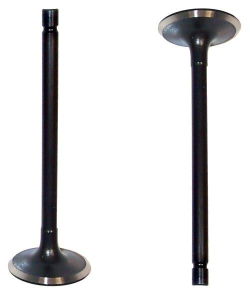 1995 Suzuki Sidekick 1.6L Intake Valve
