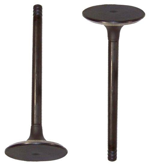 2000 Volkswagen Jetta 2.8L Intake Valve