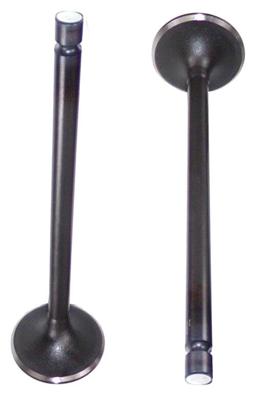 2012 Ram 2500 6.7L Intake Valve
